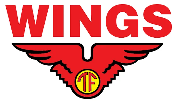 Lion Wings logo